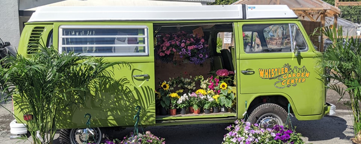 Flower Delivery to Whistler by Whistler Garden Centre